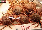 6  Granseole al mercato del pesce